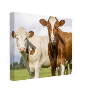 Cows in Field Canvas Wall Art