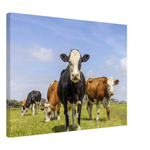 Cow Canvas Wall Art